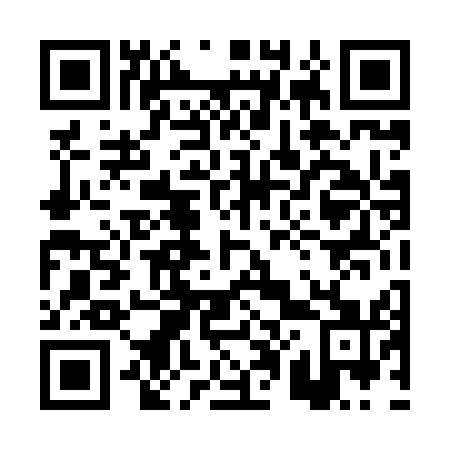 QR code for 0P4851
