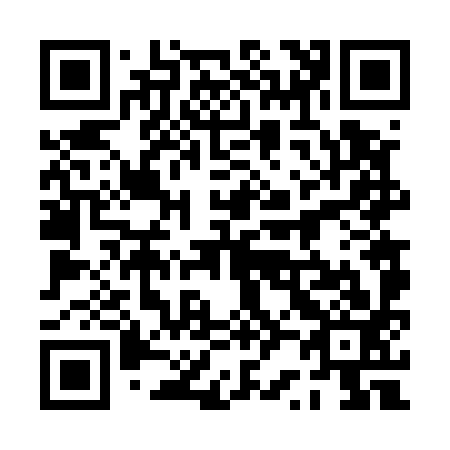QR code for 0R6593