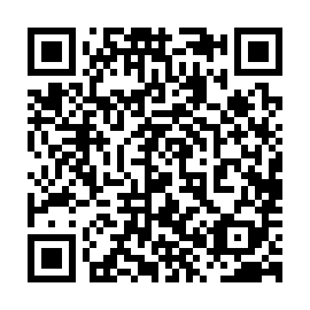 QR code for 0X0389