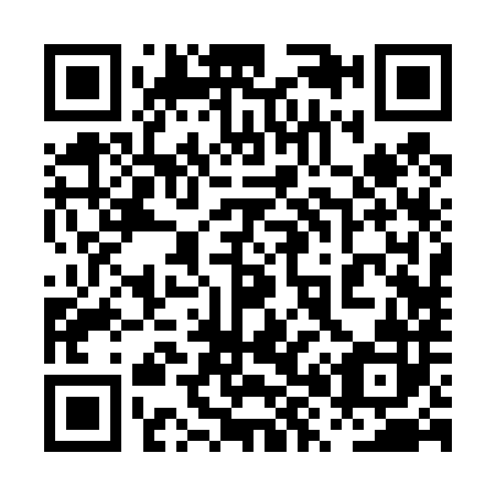 QR code for 0X2482