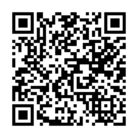 QR code for 0X2998
