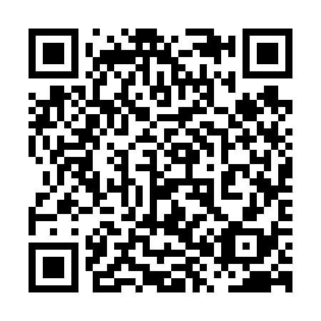 QR code for 0X3638