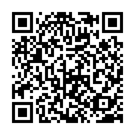 QR code for 0X6338