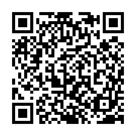 QR code for 0X9553