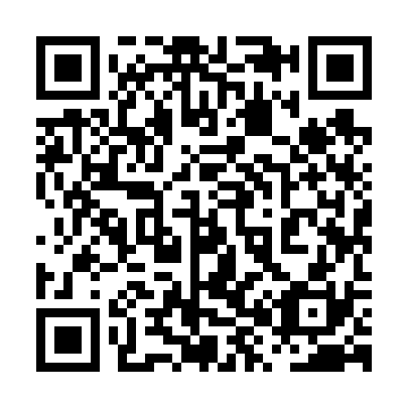 QR code for 0X9630