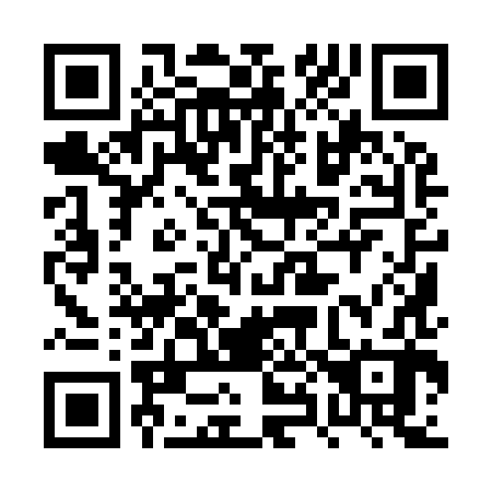 QR code for 0X9982