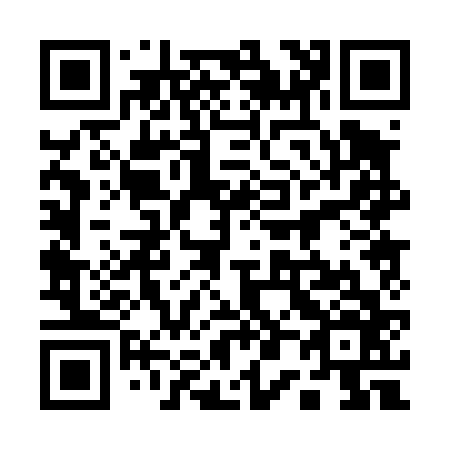 QR code for 100466