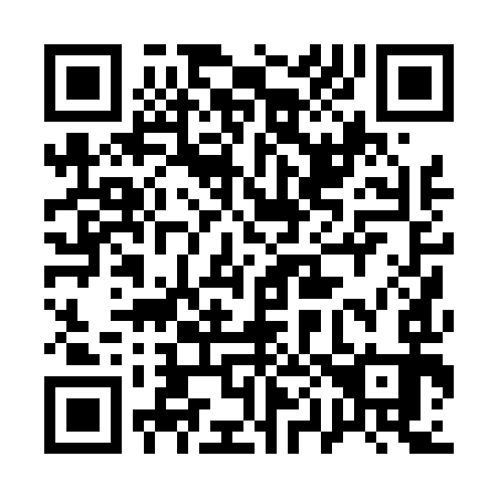 QR code for 100493