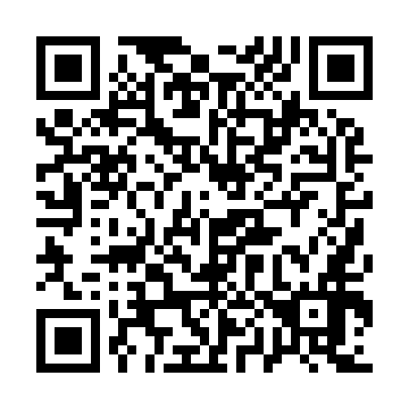 QR code for 100956