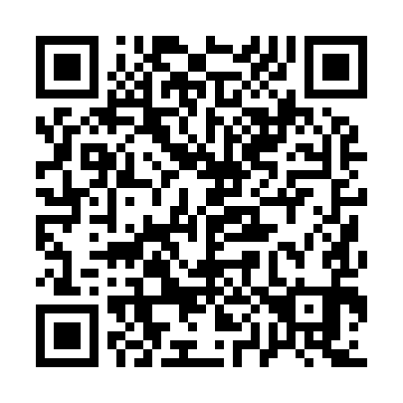 QR code for 100991