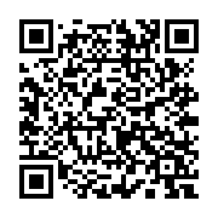 QR code for 101-ZLV