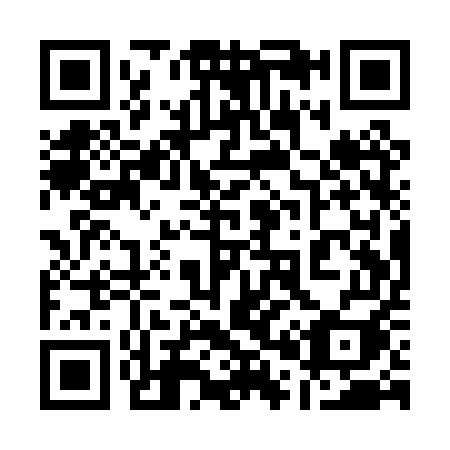 QR code for 101PUI