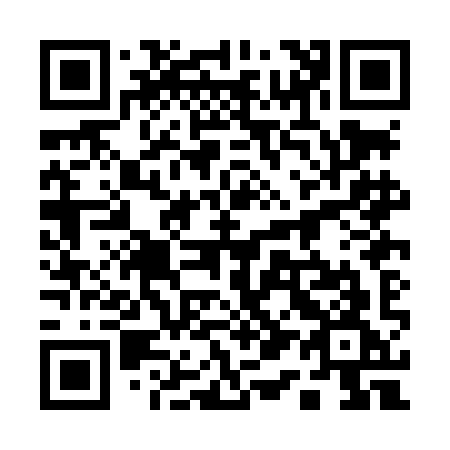 QR code for 110LIG