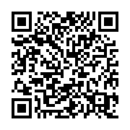 QR code for 113-PZC