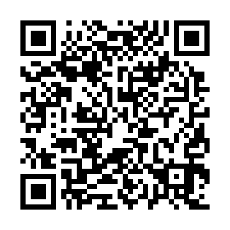 QR code for 113313
