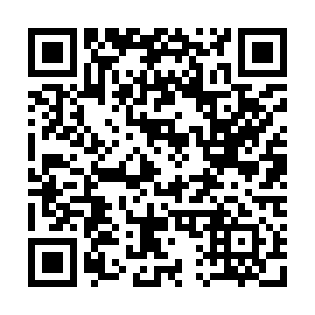 QR code for 116911