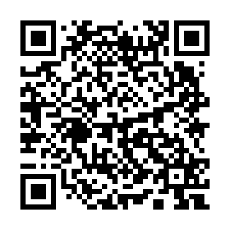 QR code for 119625