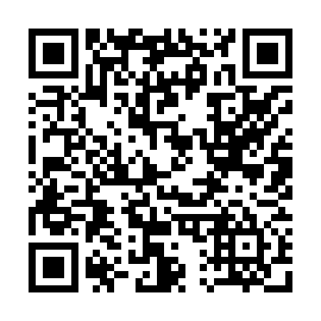 QR code for 119875
