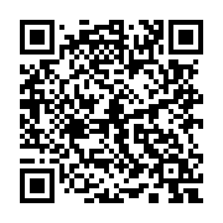 QR code for 119MQV