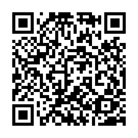 QR code for 125-LYZ