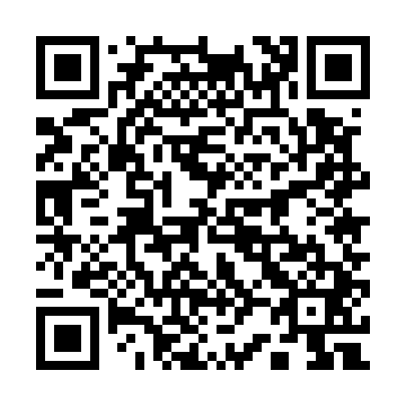QR code for 125541