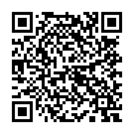 QR code for plate 125-LXY