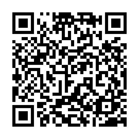 QR code for 125MIS
