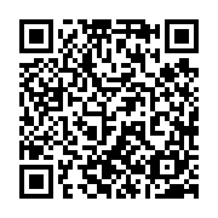 QR code for 128665