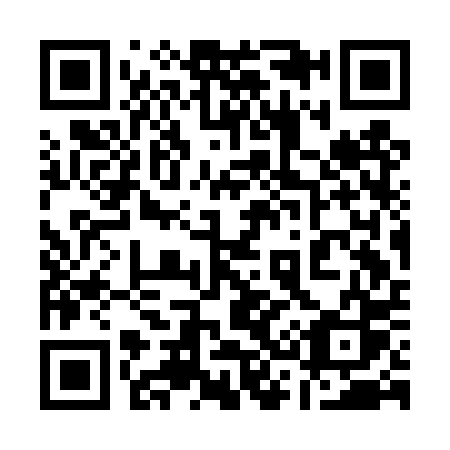 QR code for 133-DPS