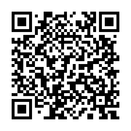QR code for 161595