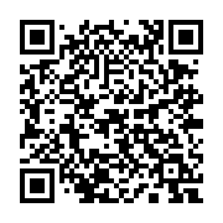 QR code for plate 161-TAL