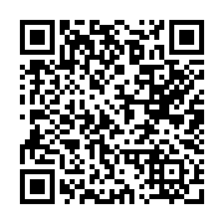 QR code for 163391