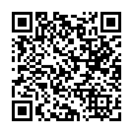 QR code for plate 163-ILA