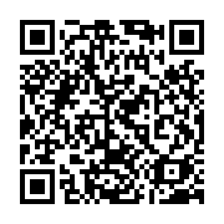 QR code for 171-LSI