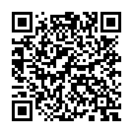 QR code for plate 171-NPI