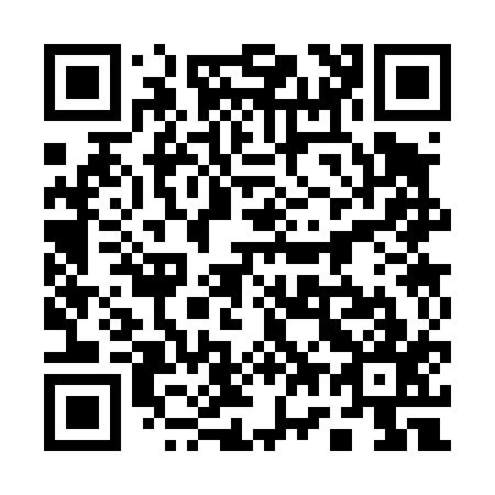 QR code for 173417