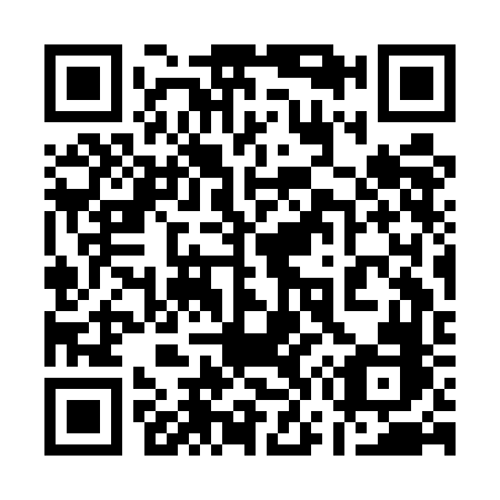 QR code for plate 173-EFB