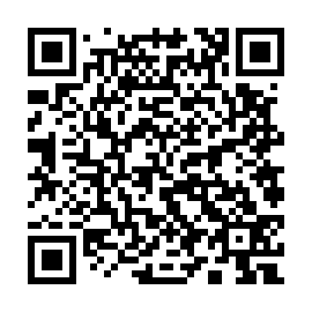 QR code for 196533