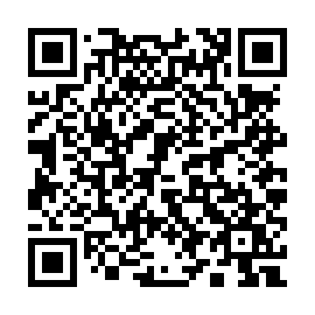 QR code for plate 196-LUW