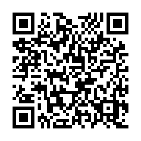 QR code for plate 196-NHZ