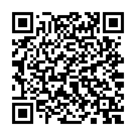 QR code for plate 196-UQP