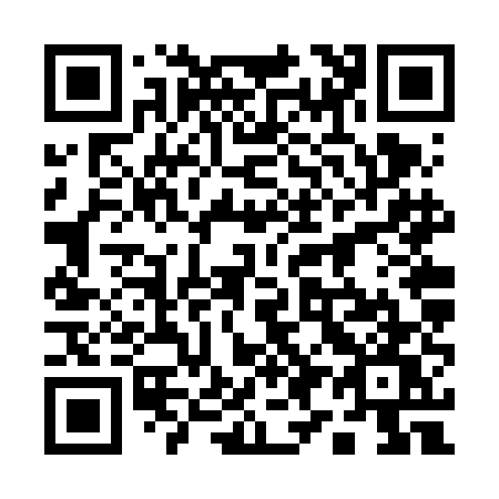 QR code for plate 196-VEW