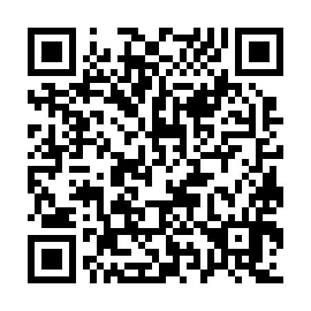 QR code for 197294