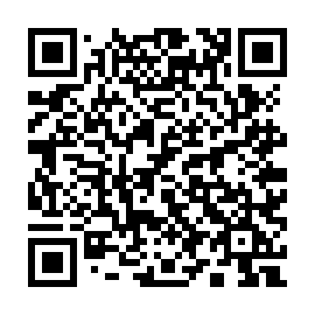 QR code for plate 197-ZLE