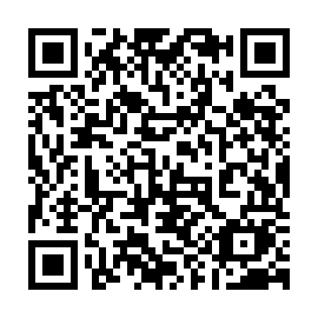QR code for plate 199-QOM