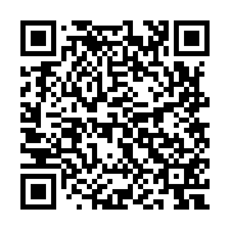 QR code for 1N2951
