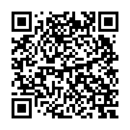 QR code for 1N3663