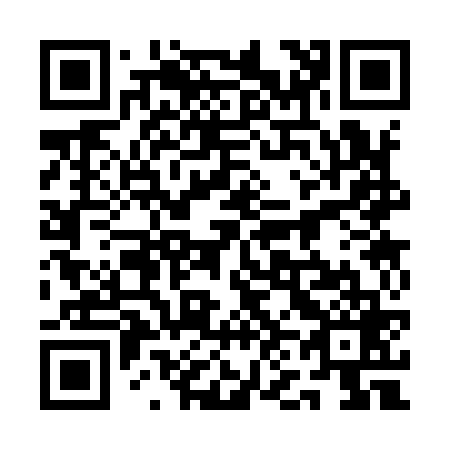 QR code for 1N3969