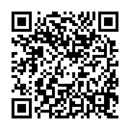 QR code for 1N6394