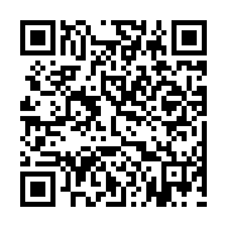QR code for 1N6846